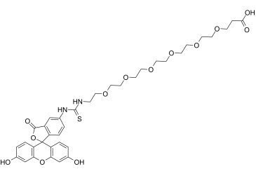 Fluorescein-PEG6-Acid 2055014-69-0